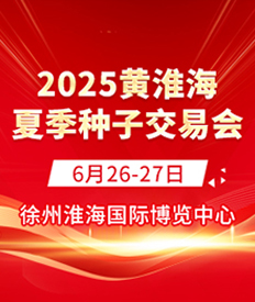 2025SļNӕ