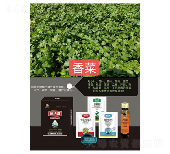 砀Mײͣˌ(zhun)ã-Ϸ·-ZM(mn)