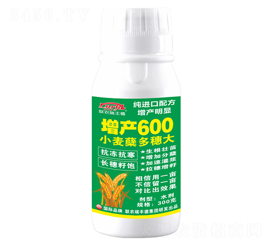 300gСYa(chn)600-r