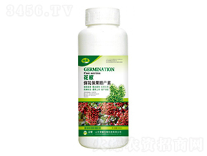 a(chn)أ500g--sҫr(nng)I(y)