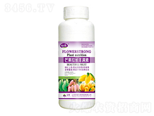 âL(zhng)SM(mn)أ500g--sҫr(nng)I(y)