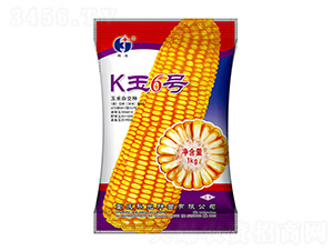 K6̖(ho)-ƹN