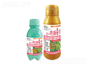 M(jn)ڇ4̖-r(nng)