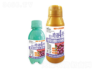 M(jn)ڇ4̖-r(nng)