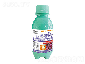 100M(jn)ڇ4̖-r(nng)